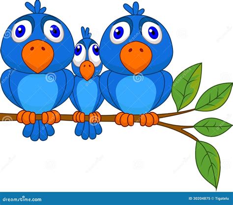 Funny Bird Cartoon Stock Vector Illustration Of Bluebird 30204875
