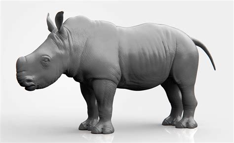 Rhino Baby 3d Model Sculpt Baby Rhino 3d Model Animals