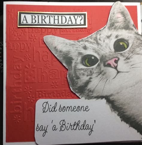 Cheeky Cat Birthday Card I Was Asked To Make A Birthday Ca Flickr
