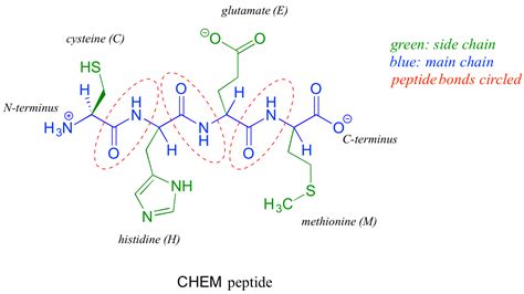 Definition of polypeptides including information on amino acids, peptide bonds, the primary, secondary, tertiary, and quaternary structures of proteins and their functions. E. Amino Acids and Proteins - Chemistry LibreTexts