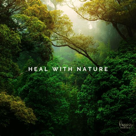 Heal With Nature Passion Harvest