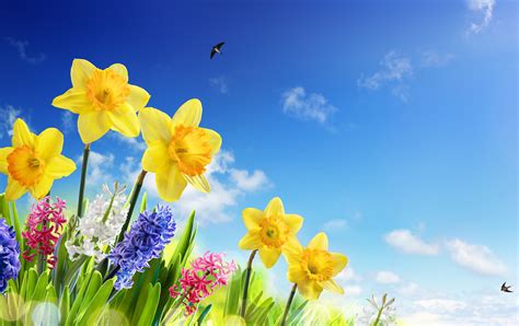 Spring Sky Wallpapers Top Free Spring Sky Backgrounds Wallpaperaccess