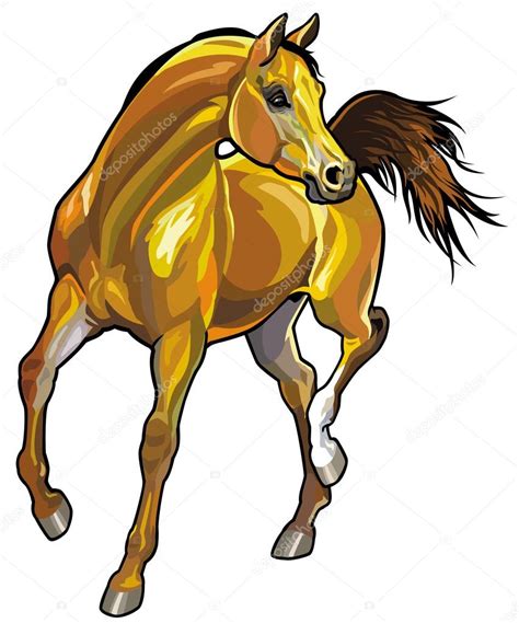 Arabian Horse Stock Vector Image By ©insima 23349224