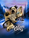 The Karate Dog (Movie, 2004) - MovieMeter.com