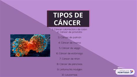 Diferentes Tipos De Cancer