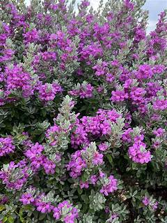 Lawrence E Moon Obituary Flint Michigan