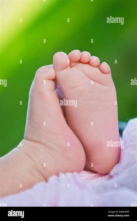 Los Pies De Un Bebé Recién Nacido Diez Días Fotografía De Stock Alamy