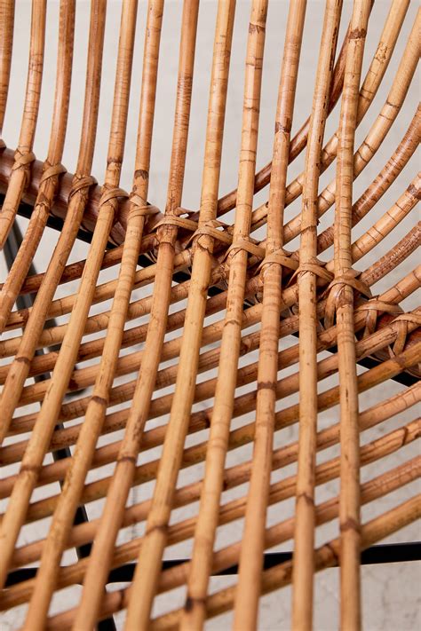 Types Of Rattan