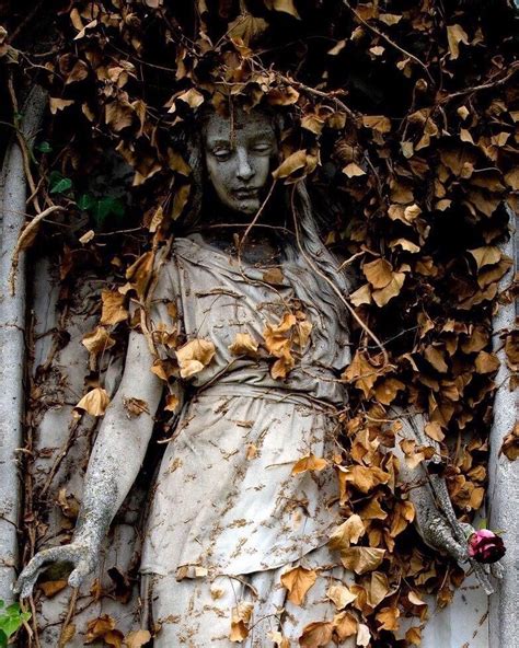 Autumn Cemetery Statues Cemetery Art Dark Academia Aesthetic Dark