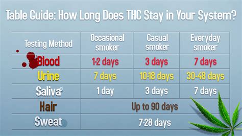 Here S How Long Weed And Edibles Stay In Your System Chart