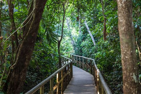 Walking Tour Inside Manuel Antonio National Park Beeyonder