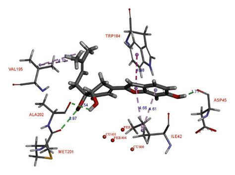 Docked Pose Of Best Ranked Docking Score Of Compounds 1 A And 2 B