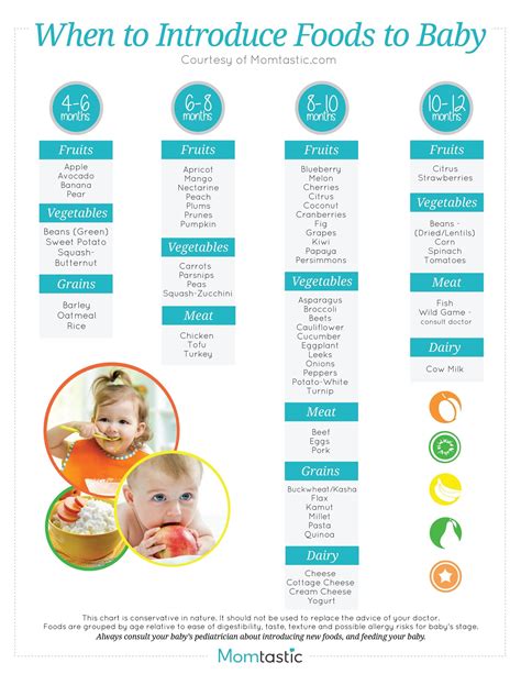 Solid Food Chart For Babies Aged 4 Months Through 12 Months Find Age