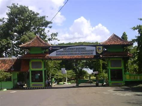 Waduk gajah mungkur wonogiri, sejarah, asal usul, alamat, rute, tiket masuk, waduk gajah mungkur adalah danau membendung sungai waduk gajah mungkur mempunyai luas sekitar 8800 hektar dan mulai dibangun sekitar tahun 1970 serta mulai digunakan pada tahun 1978, waduk gajah. Veteran Gunung Gandul: Nostalgia di Waduk Gajah Mungkur