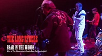 Bear In The Woods - The Long Ryders (Live) - YouTube