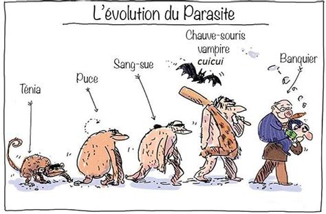 Evolution Cartoon Theory Of Evolution Comic Strips Pin Worms Festival Internacional