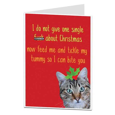 Funny Grumpy Cat Christmas Card Ebay Limalima