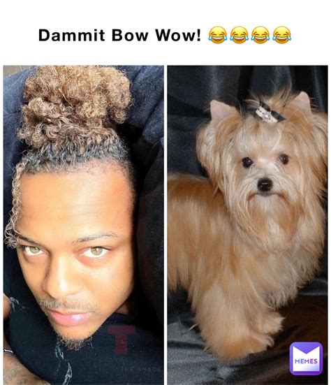 Dammit Bow Wow Double Tap To Edit Beyondpetty Memes