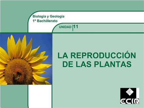 PPT Biolog A Y Geolog A 1 Bachillerato PowerPoint Presentation Free