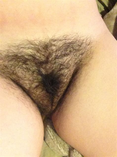 Front View Hairy Pussy Sorted By Position Luscious