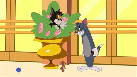 Tom And Jerry In New York 2021