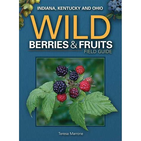 Wild Berries And Fruits Identification Guides Wild Berries And Fruits