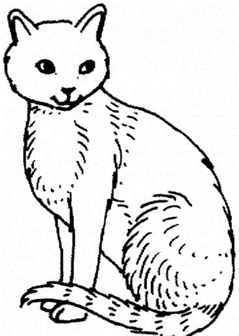 Cat to print and color. Free Printable Cat Coloring Pages For Kids