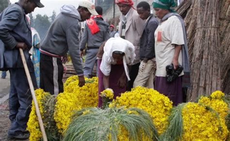 Enkutatash A Flowery Ethiopian New Year
