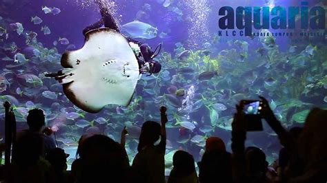 Book your aquaria klcc tickets online. Aquaria KLCC Ticket Price for 2017 & Location Info
