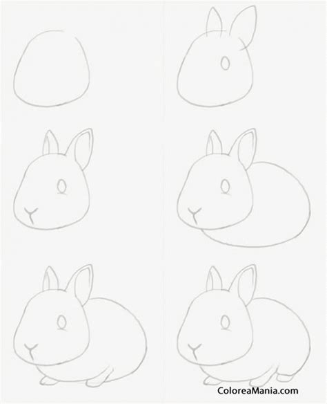 Como Dibujar Un Conejo Fcil Management And Leadership