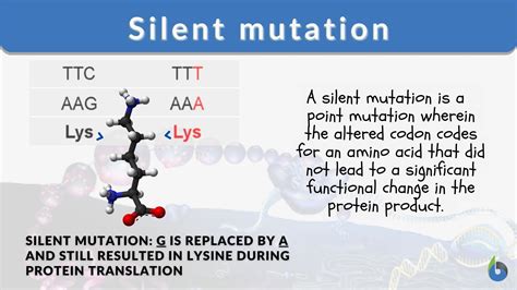 Silent Mutation Definition And Examples Biology Online Dictionary