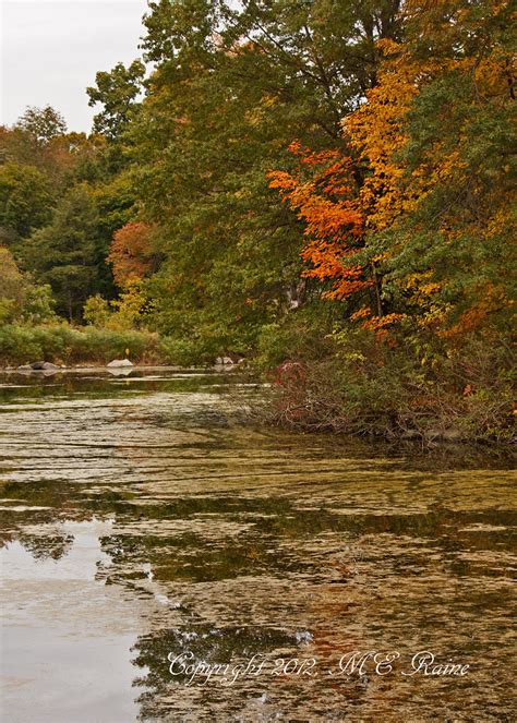 Vista Lake And Fall Leaves At Duke Farms Hillsborough Nj Flickr