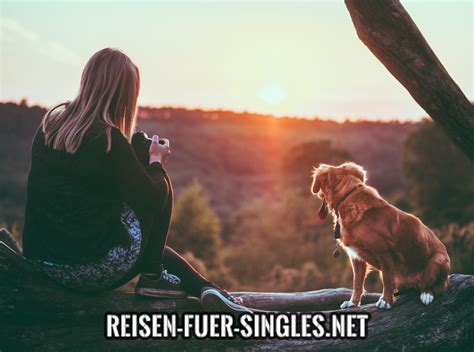 Urlaub Single Mit Hunde Einsam And Urlaubsreif Erholung Mit Hund