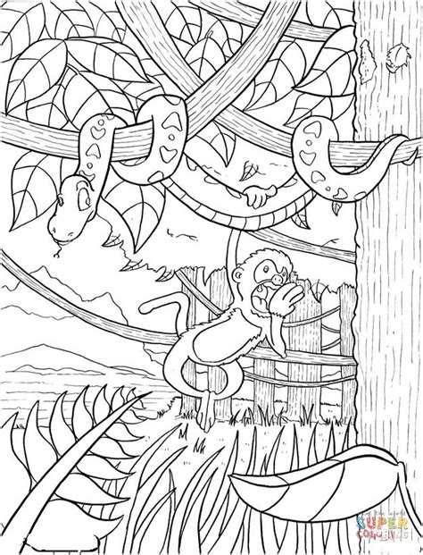 12 Detail Coloriage Foret Tropicale Image Animal Coloring Pages Zoo