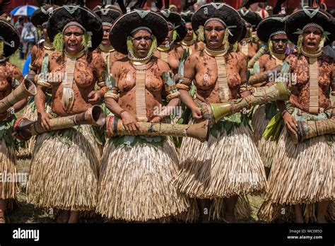 A Group Of Suli Muli Women From Enga Dancing With Round Human Hair Headdress Mount Hagen