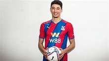 Luke Plange - Crystal Palace FC Supporters' Website - The Holmesdale Online