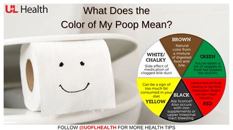 What Does The Color Of My Poop Mean Uofl Health