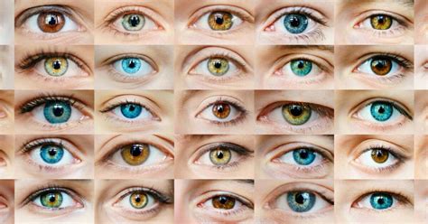 Как сделать гетерохромию глаз в домашних условиях 82 фото