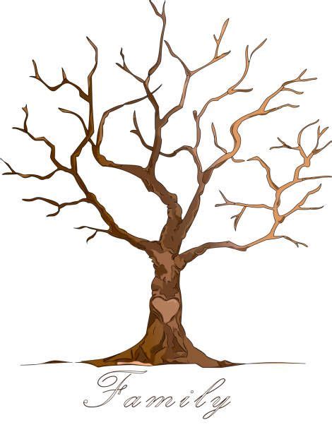 Hand Drawn Wood Twigs Wooden Sticks Tree Branches Vector Rustic