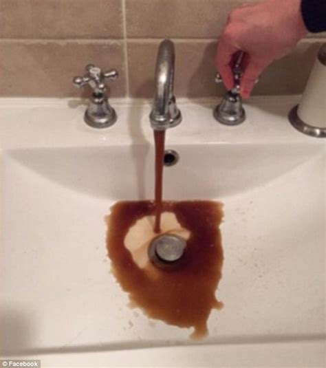 Perth Water Board Tells Residents Brown Liquid Out Of Taps Is Safe To Drink Daily Mail Online