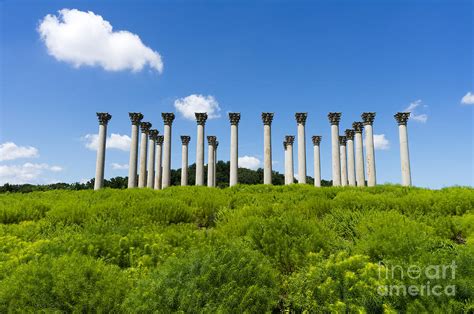 The Capitol Columns At The National Arboretum In Washington Dc