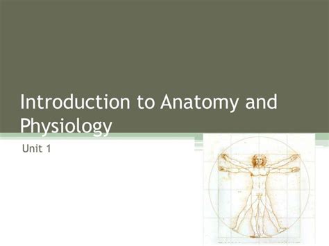 ppt introduction to anatomy and physiology powerpoint presentation free download id 5428430