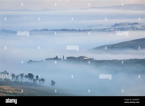 Typical Tuscan Landscape Morning With Fog In The Valleys And Rolling