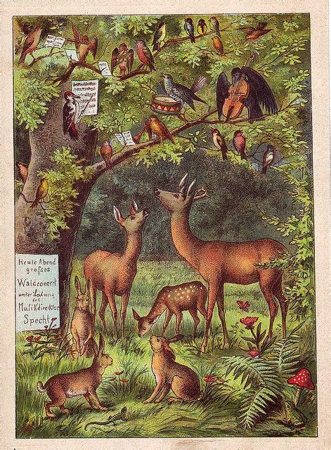 Deer And Birds In 2019 Vintage Illustrations Woodland