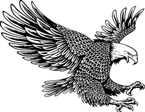 Black And White Eagle Tattoo