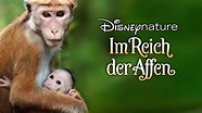 Im Reich der Affen streamen | Ganzer Film | Disney+