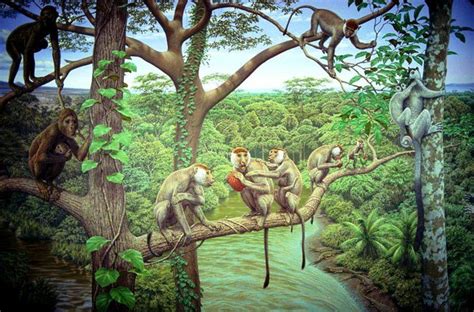 Monkeys Sitting On A Tree Branch In The Middle Of A Jungle With Water