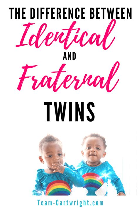 identical vs fraternal twins what makes twin types different