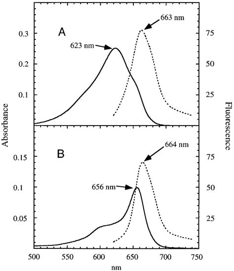 Absorbance Solid Lines And Fluorescence Emission Dotted Lines