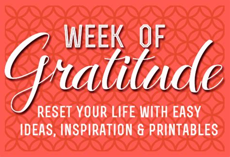 Welcome To Gratitude Week Decompress And Reconnect Before Holiday Hysteria Kicks In